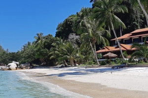 D&#039;Coconut Snorkeling