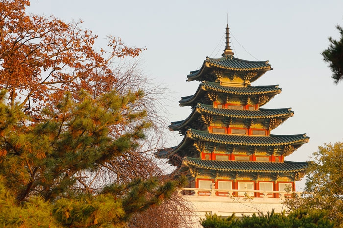 Seoul K-Culture and City Tour