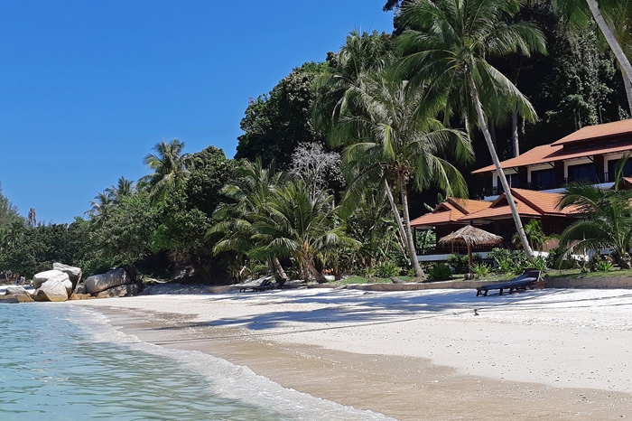 D'Coconut Snorkeling